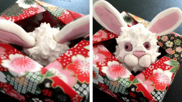 lapin blanc en pate durcissante dans une boite en origami.