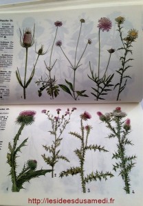 livre identification fleurs