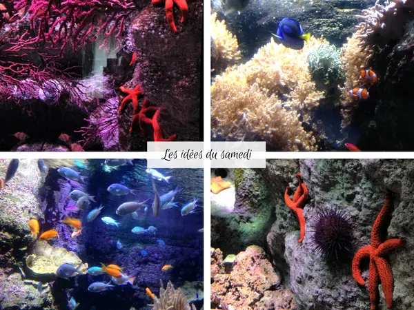 aquarium paris trocadero