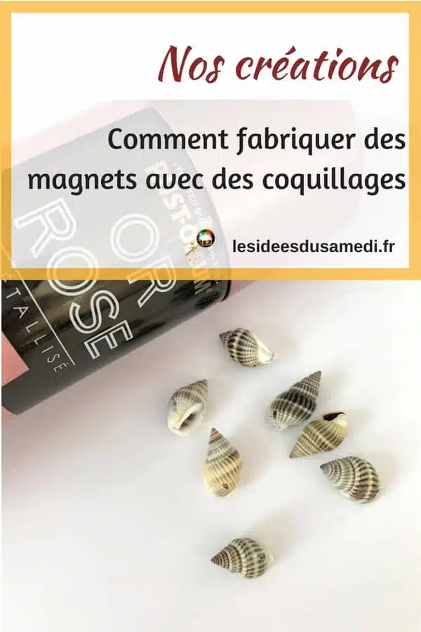 recycler coquillage magnet