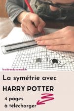 symetrie harry potter pinterest iddusamedi