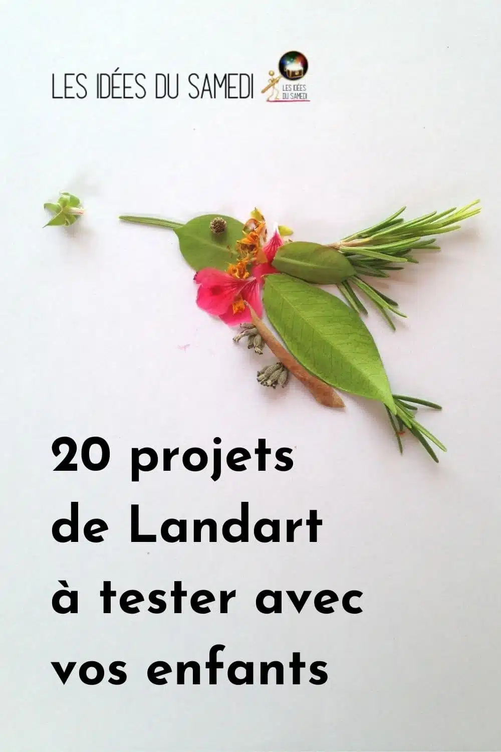 colibri en feuilles et fleurs comme exemple de projet landart fait avec les enfants