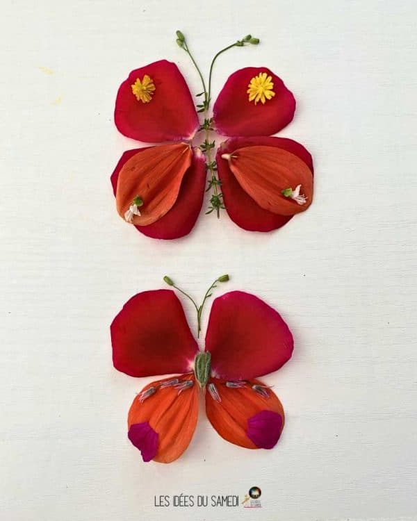 2 papillons en pétales de fleurs dans les tons orange et rouge