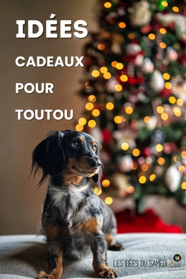 idées de cadeaux de Noël pour le chien de la famille